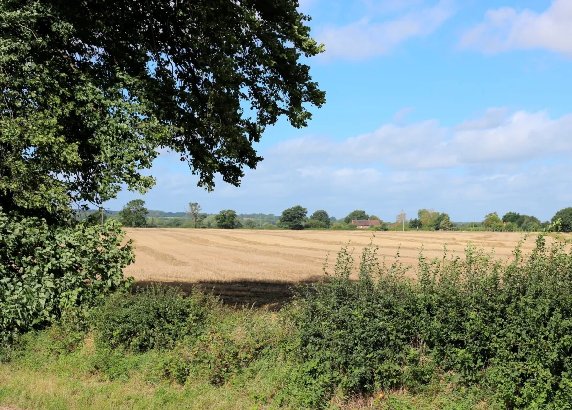 Existing views of fields in Telford and Wrekin