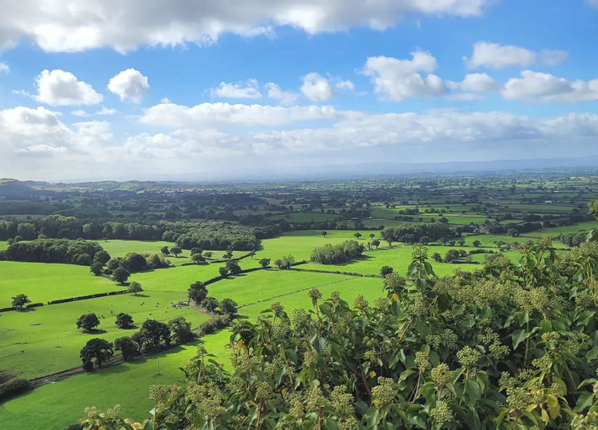 View from Sandstone Ridge Cheshire