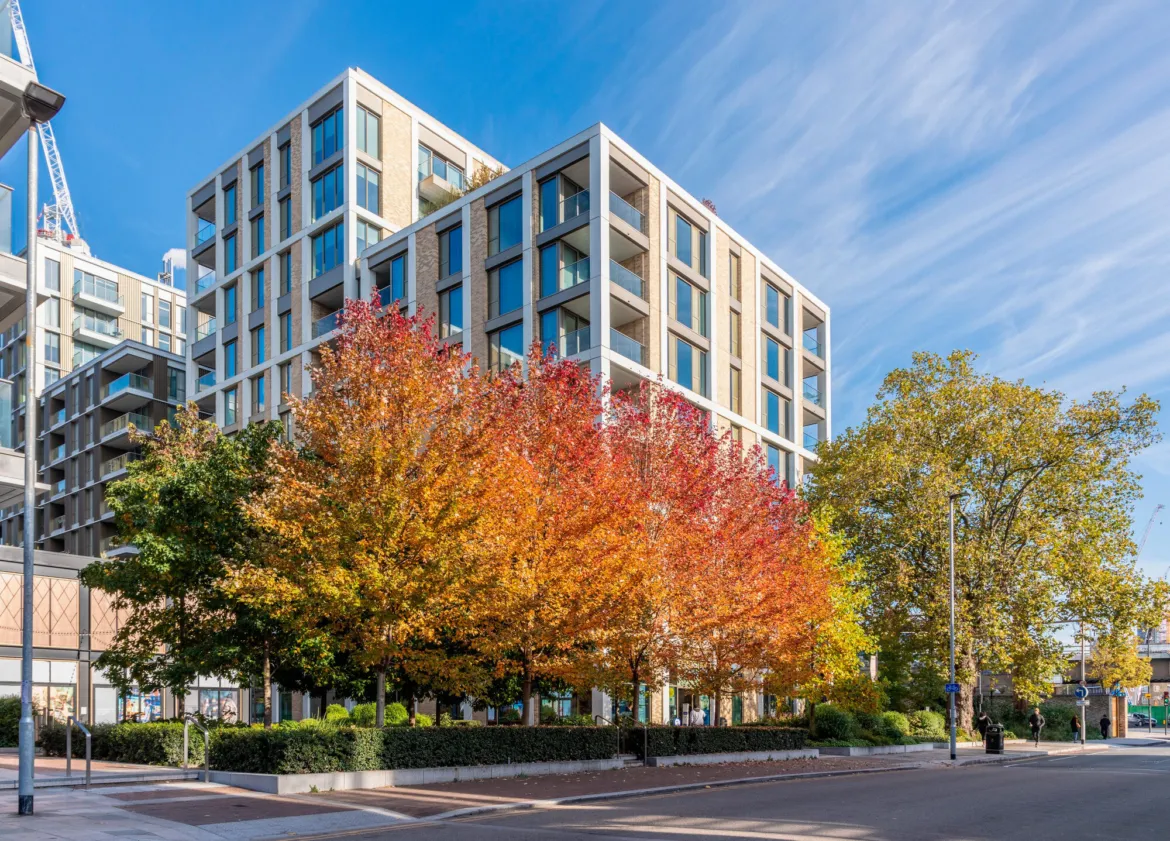PPrince of Wales Drive streetscape with autumn trees, residential buildings, and integrated urban landscape architecture and public realm planting