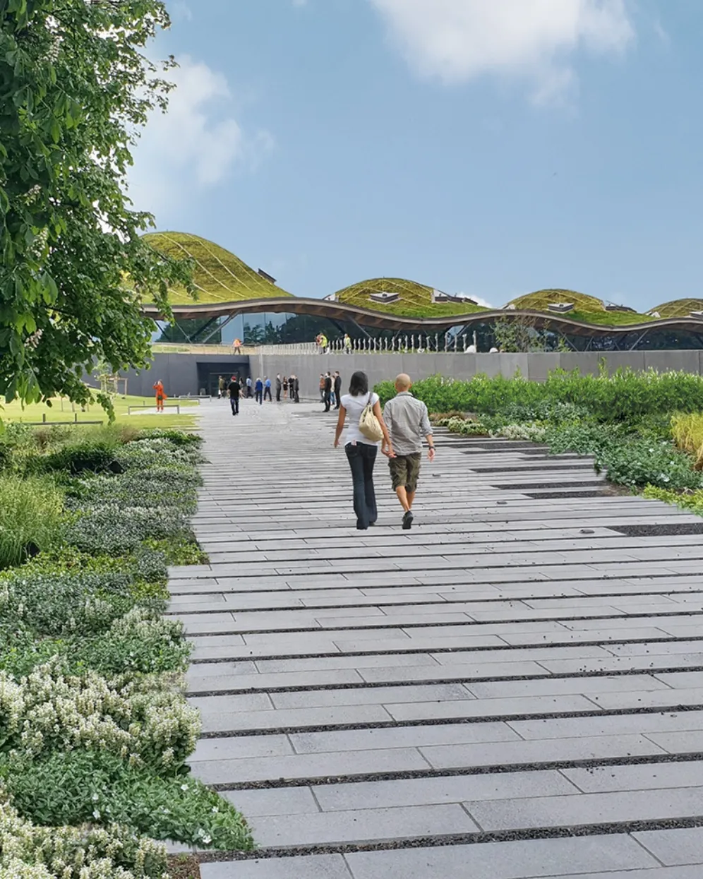 Pathway through landscaped gardens leading to Macallan Distillery with green roof architecture in Scottish countryside.