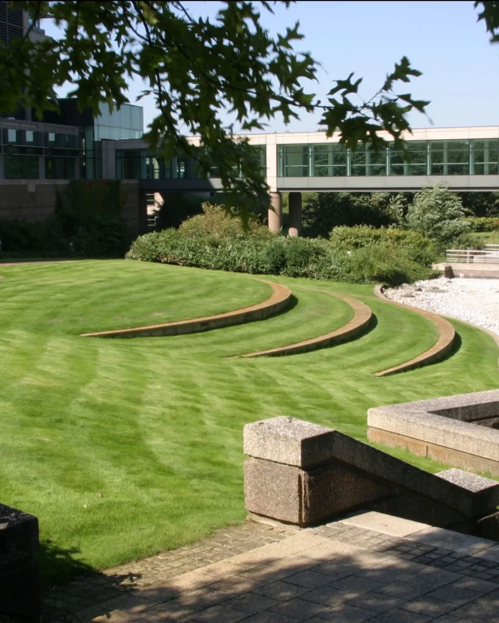Tiered lawn amphitheatre at Glaxo Research Campus, Stevenage, integrating corporate landscape architecture with sustainable green open space design.