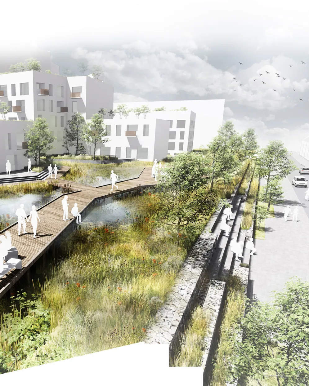 Avocado Loop - new green streets loop around the development