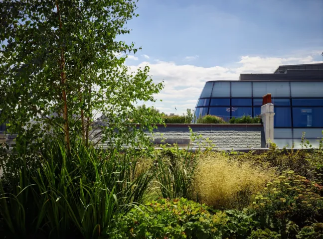 Rooftop garden landscape design at One New Burlington Place with lush planting and sustainable green roof architecture.
