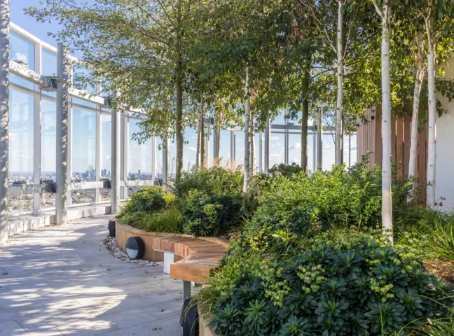Vauxhall Sky Garden rooftop landscape with trees, planting, curved seating, and panoramic views of London skyline.