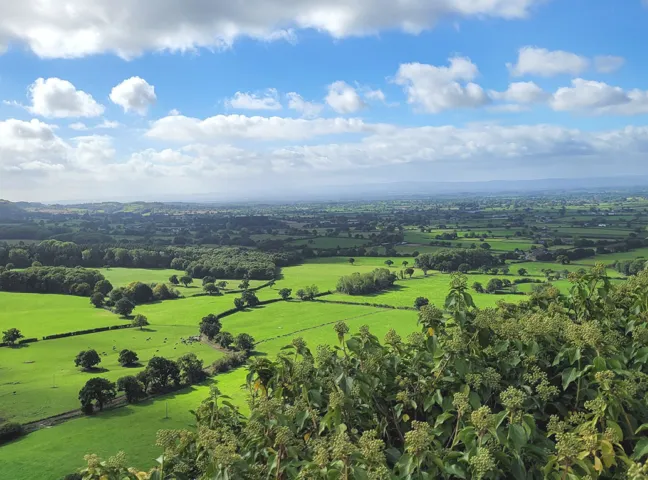 View from Sandstone Ridge Cheshire