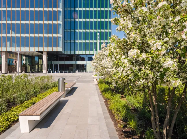 Urban landscape architecture with seating, flowering trees, and planting at Arcus III office development, Leningradsky Prospect, Moscow.