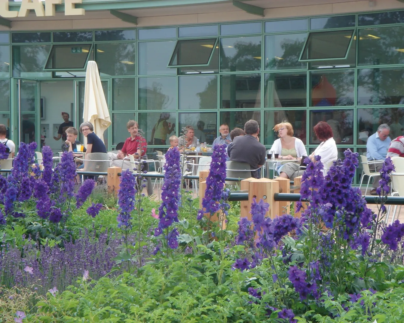 Outdoor café seating at Danfoss Universe surrounded by vibrant purple flower planting, enhancing landscape architecture and visitor enjoyment.