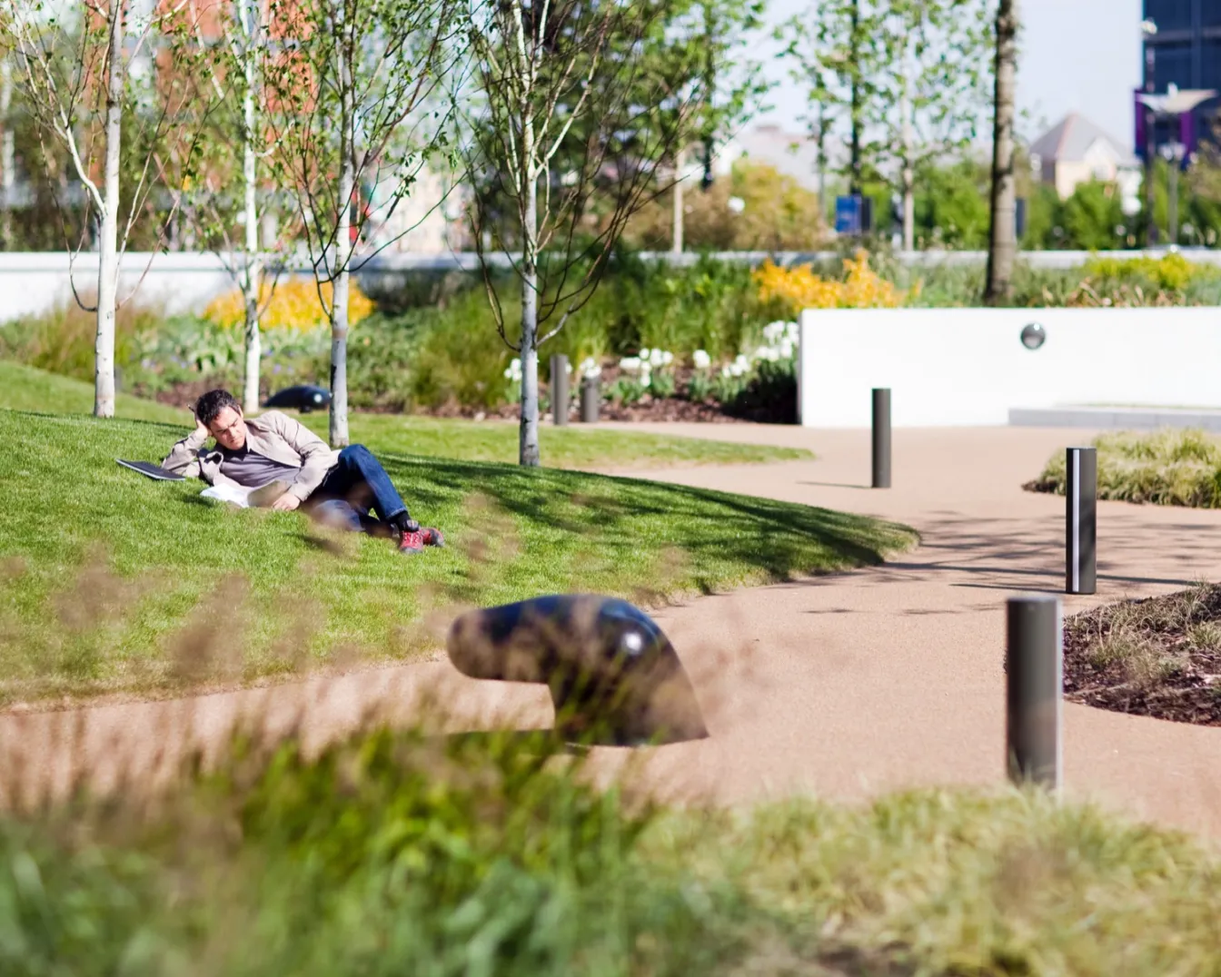 Relaxed green space at MediaCityUK with soft landscaping, natural planting, and curved pedestrian pathways, designed by Manchester based studio, Gillespies.