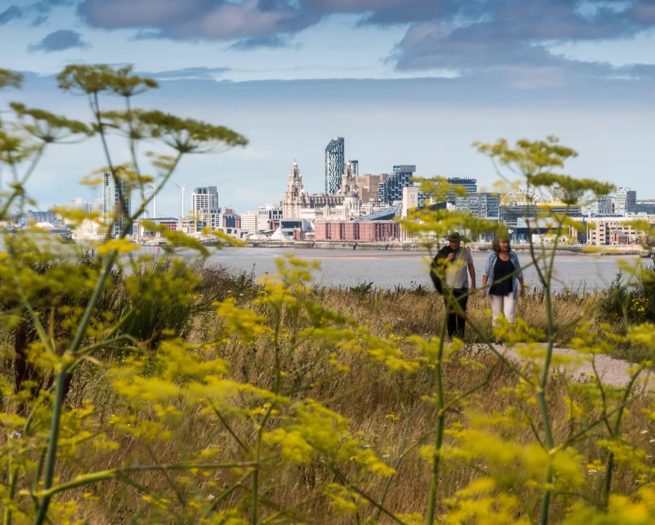 Port Sunlight River Park with wildflower meadows, walking trail, and reclaimed landscape overlooking Liverpool waterfront.