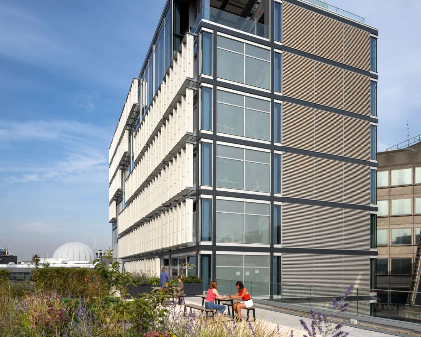 LSE Centre Building with biodiverse roof garden, seating, and pollinator-friendly planting showcasing sustainable landscape architecture by practice Gillespies.