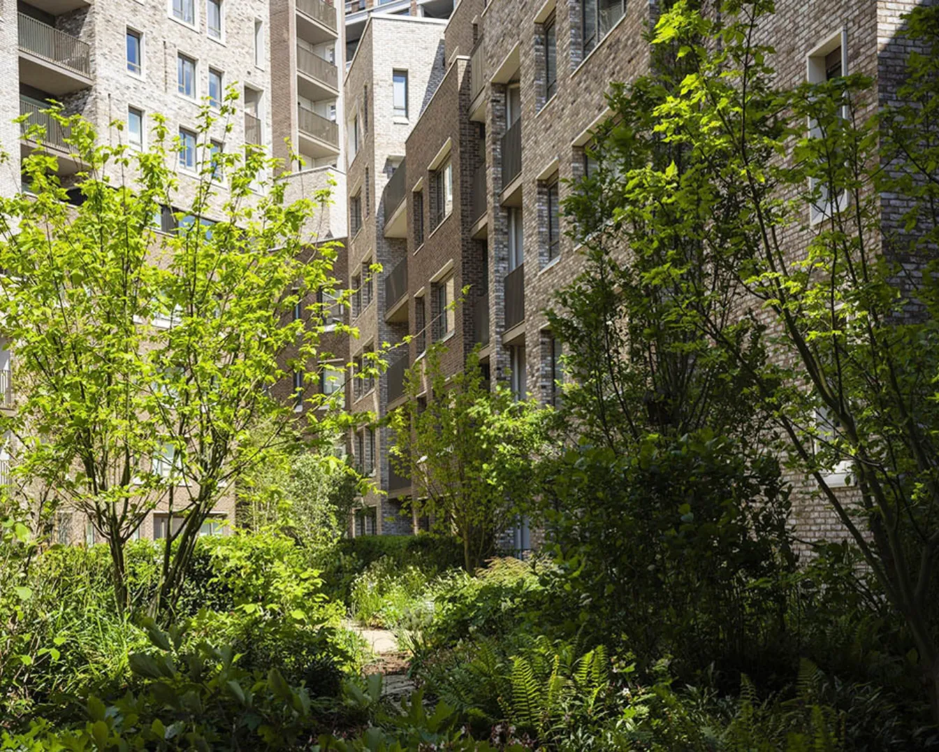 Orchard Gardens copyright Timothy Soar