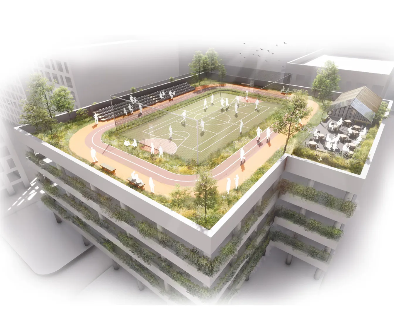 Amenity rooftops for residents