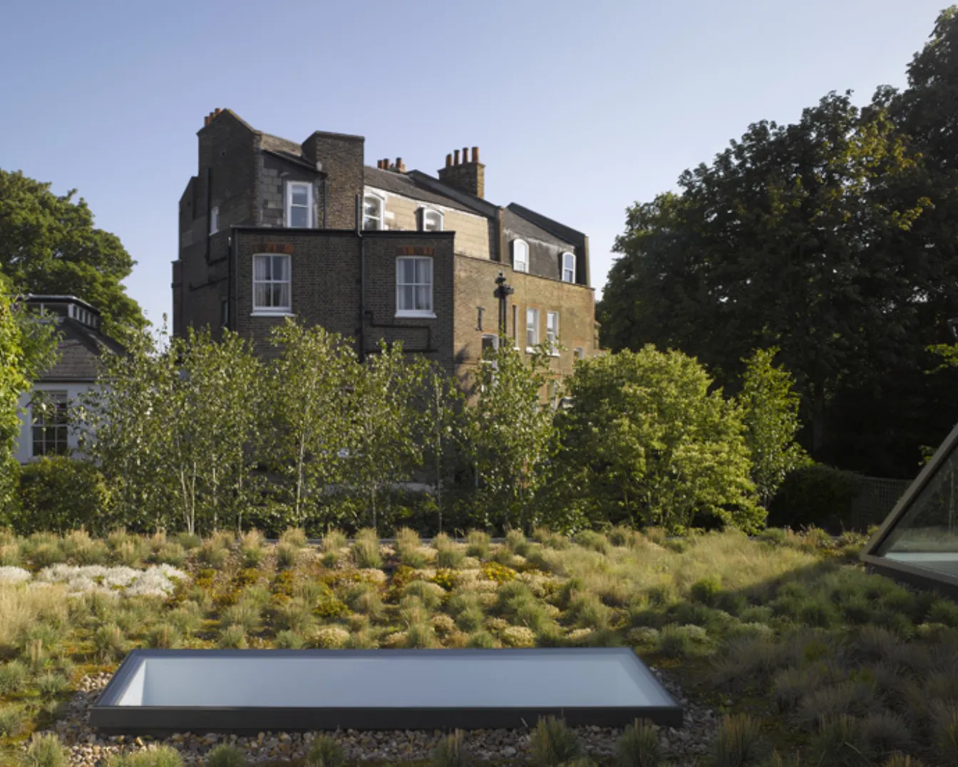 naturalistic planting and discreet rooflights subtly integrate modern design within a historic setting.